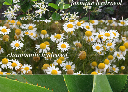 Jasmine Essence - Soothing & Hydrating Floral Water