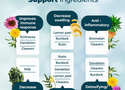 PUREHEALTH RESEARCH Lymph System Support Supplement - Lymphatic Drainage Supplement with Dandelion Extract, Cleavers, Burdock Powder - Reduce Swelling and Cleanse Lymph - 1 Bottle, Brown