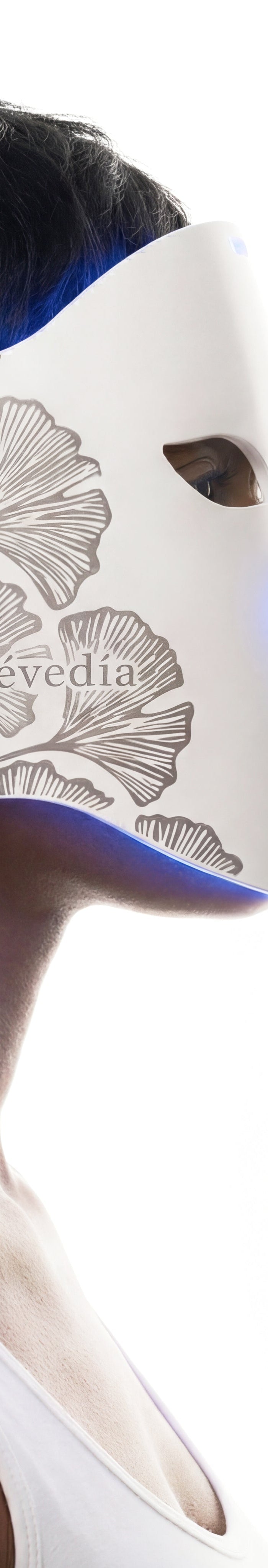 <h1>Evedia.</h1>