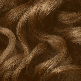 L'Oreal Paris Colorsonic Ammonia Free Permanent Hair Color Cartridge Device Sold Separately Light Brown Gold 6G - Imperfect Box