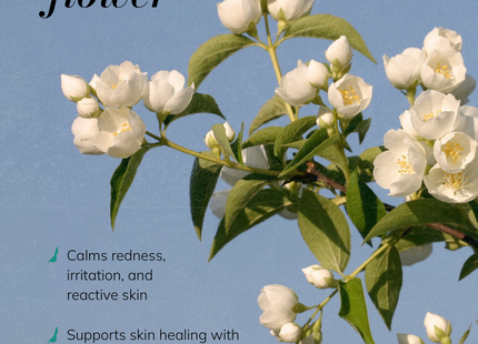 Jasmine Nectar - Essential Oil-Free, Light-Weight Face Oil