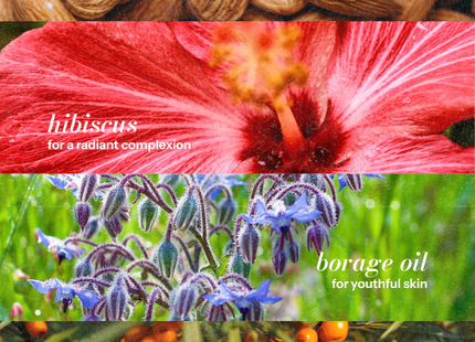 Hibiscus Nectar - Radiant Glow Face Oil