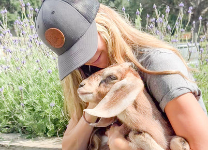 Farmhouse Artisan Goat Milk & Tallow Soap Collection