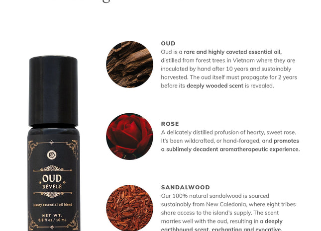 Oud Révélé (10ml)- Collective