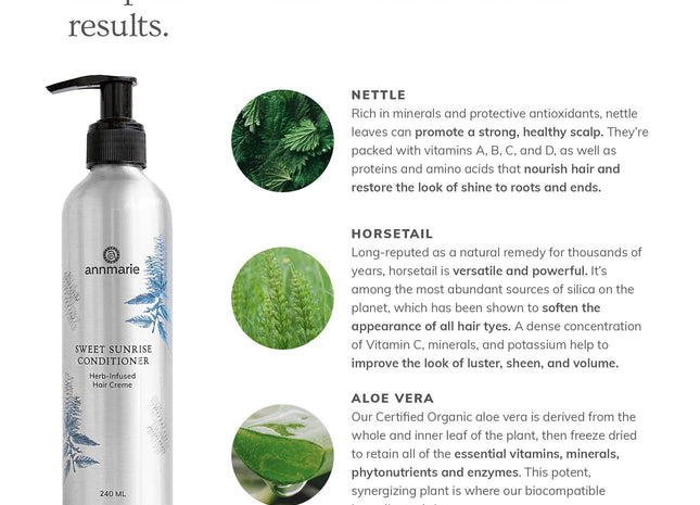 Sweet Sunrise Conditioner (240ml)- Collective