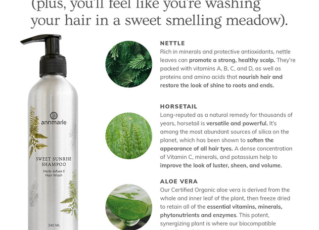 Sweet Sunrise Shampoo (240ml)- Collective