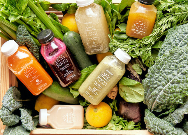 Organic Botanical Beverage Variety Pack - 8, 16, 24 Options