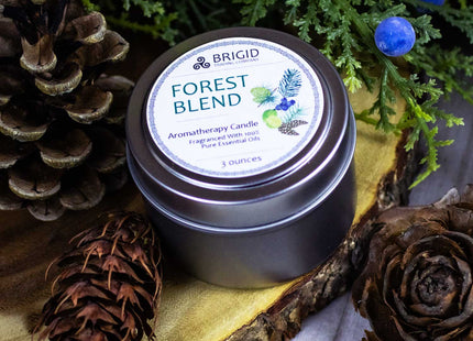 Forest Blend Soy Wax Candle - Juniper, Pine, Balsam, Cedar, and Lime
