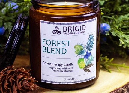 Forest Blend Soy Wax Candle - Juniper, Pine, Balsam, Cedar, and Lime