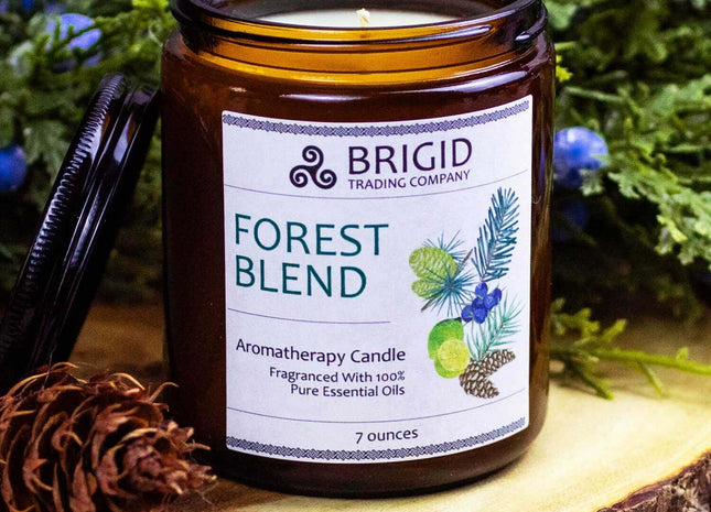 Forest Blend Soy Wax Candle - Juniper, Pine, Balsam, Cedar, and Lime