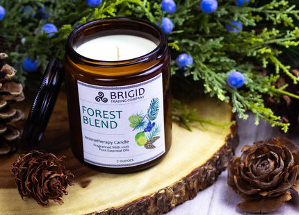 Forest Blend Soy Wax Candle - Juniper, Pine, Balsam, Cedar, and Lime