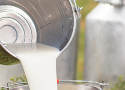 Farmhouse Artisan Goat Milk & Tallow Soap Collection