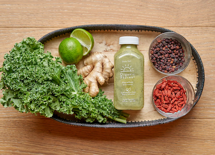 Organic Botanical Beverage Variety Pack - 8, 16, 24 Options