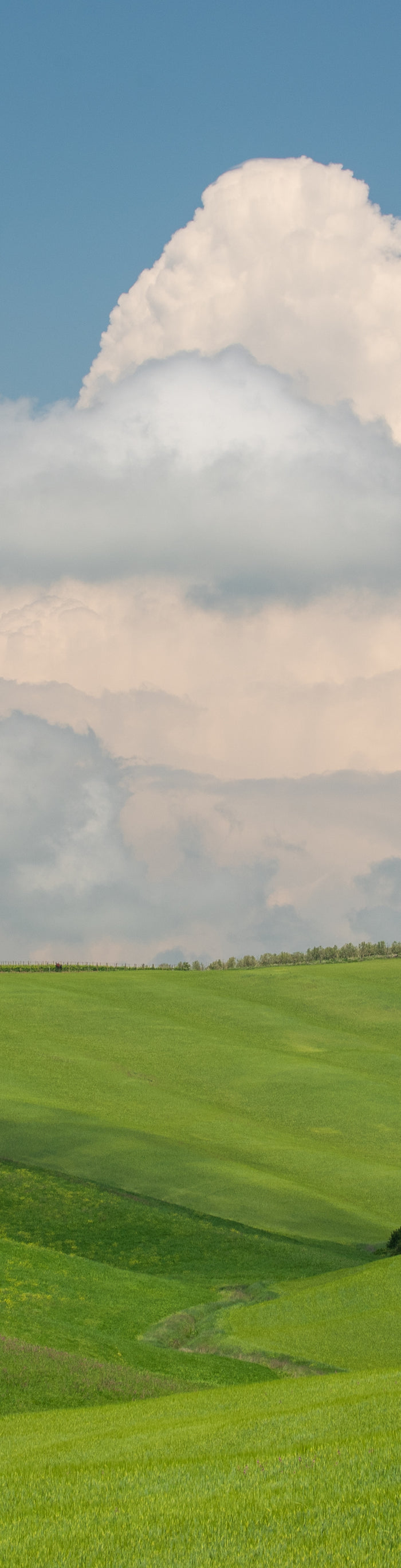 <h1>Clean Air Matters.</h1>